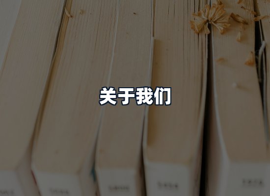 关于我们